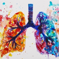 2 Lungenflügel bunt lebendig voller Farbe und Energie - electric motion